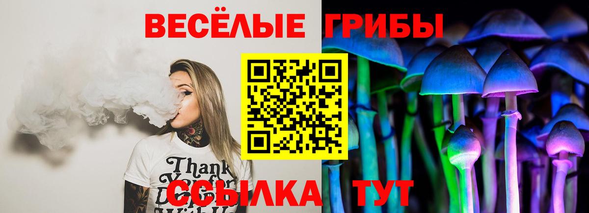 Псилоцибиновые грибы GOLDEN TEACHER Михайловка