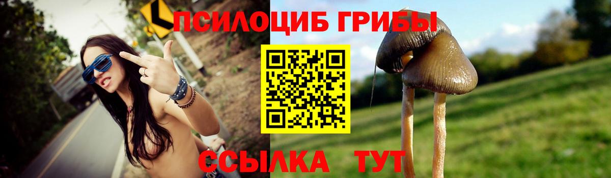 Михайловка  Псилоцибиновые грибы Magic Shrooms  где продают   Вход с VPN 