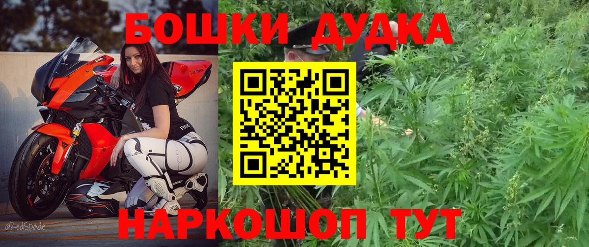 Каннабис индика Михайловка